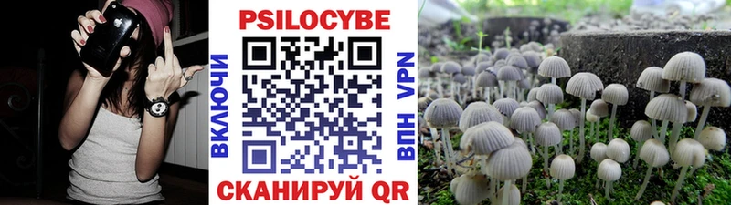 Галлюциногенные грибы Cubensis  Лангепас 